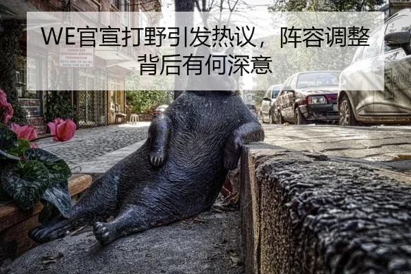 WE官宣打野引发热议，阵容调整背后有何深意